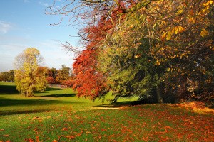 Colorful autumn scene